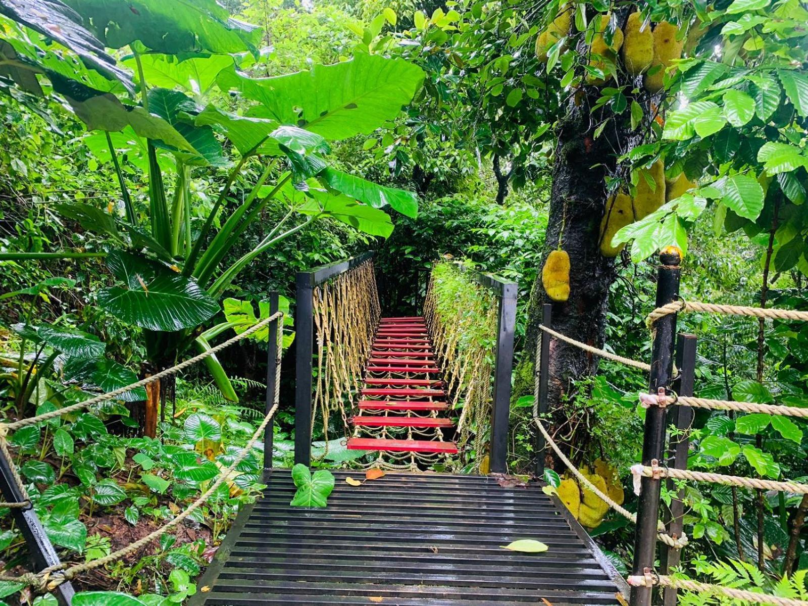 The Mountain Shades Resort Madikeri Exterior foto